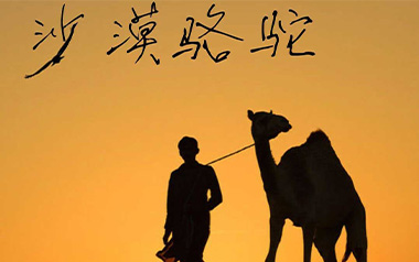 沙漠骆驼吉他谱_展展与罗罗_C调弹唱六线谱_高清图片谱