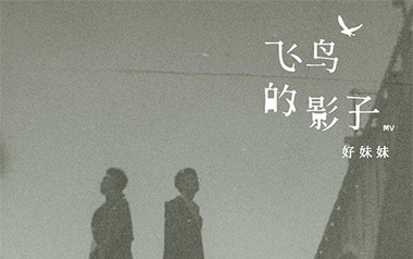 飞鸟的影子吉他谱_好妹妹乐队_G调原版弹唱谱_高清六线谱