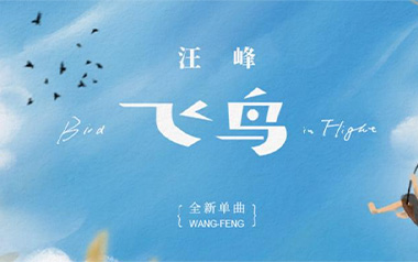 飞鸟吉他谱_汪峰_G调原版六线谱_弹唱教学视频