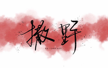 撒野吉他谱_凯瑟喵_C调简单版弹唱六线谱_高清图片谱