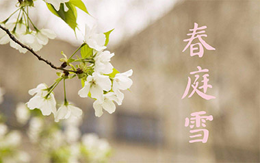 春庭雪吉他谱_橙翼_C调原版弹唱六线谱_高清图片谱_古风歌曲