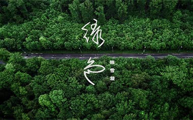 绿色吉他谱_陈雪凝_C调扫弦简单版弹唱六线谱_高清图片谱