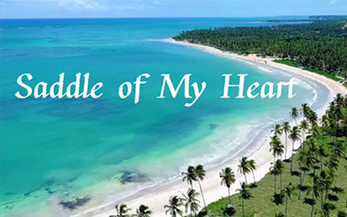 Saddle Of My Heart吉他谱_Teloupe_C调弹唱谱_高清六线谱