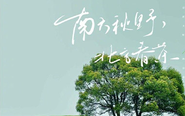 南方秋野北方春茶吉他谱_张远_C调原版弹唱谱_高清六线谱
