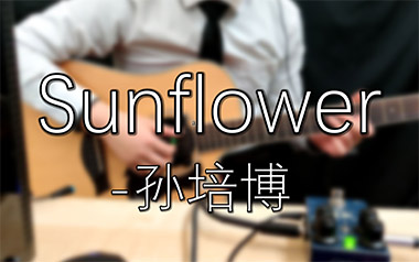 太阳花指弹吉他谱_孙培博_Sunflower_原版指弹谱_吉他独奏谱