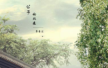 公子向北走吉他谱_李春花_G调简单版弹唱六线谱_高清图片谱