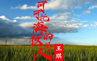 可可托海的牧羊人吉他谱_王琪_G调原版六线谱_弹唱教学视频