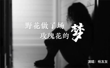 野花做了场玫瑰花的梦吉他谱_杨友友_C调原版弹唱谱_高清六线谱