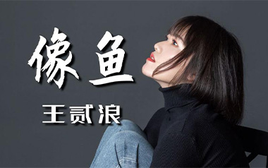 像鱼吉他谱_王贰浪_G调原版弹唱六线谱_高清图片谱