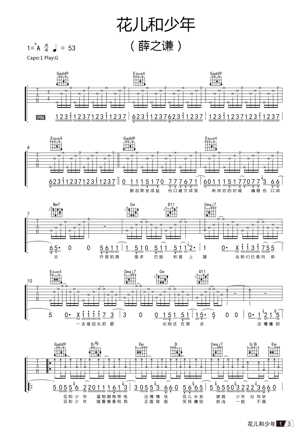 花儿和少年吉他谱预览图