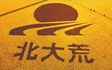 北大荒吉他谱_安来宁_G调弹唱六线谱_高清图片谱