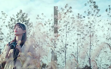 飞鸟和蝉吉他谱_任然_G调原版弹唱谱_高清六线谱