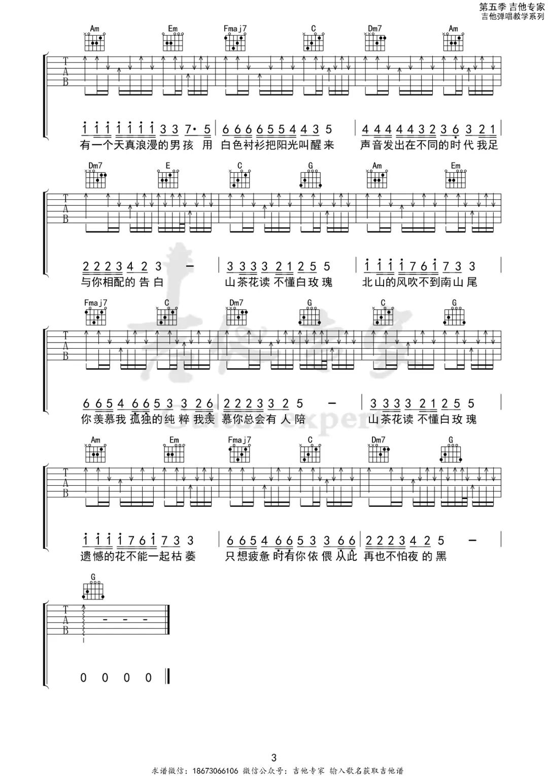 山茶花读不懂白玫瑰吉他谱预览图