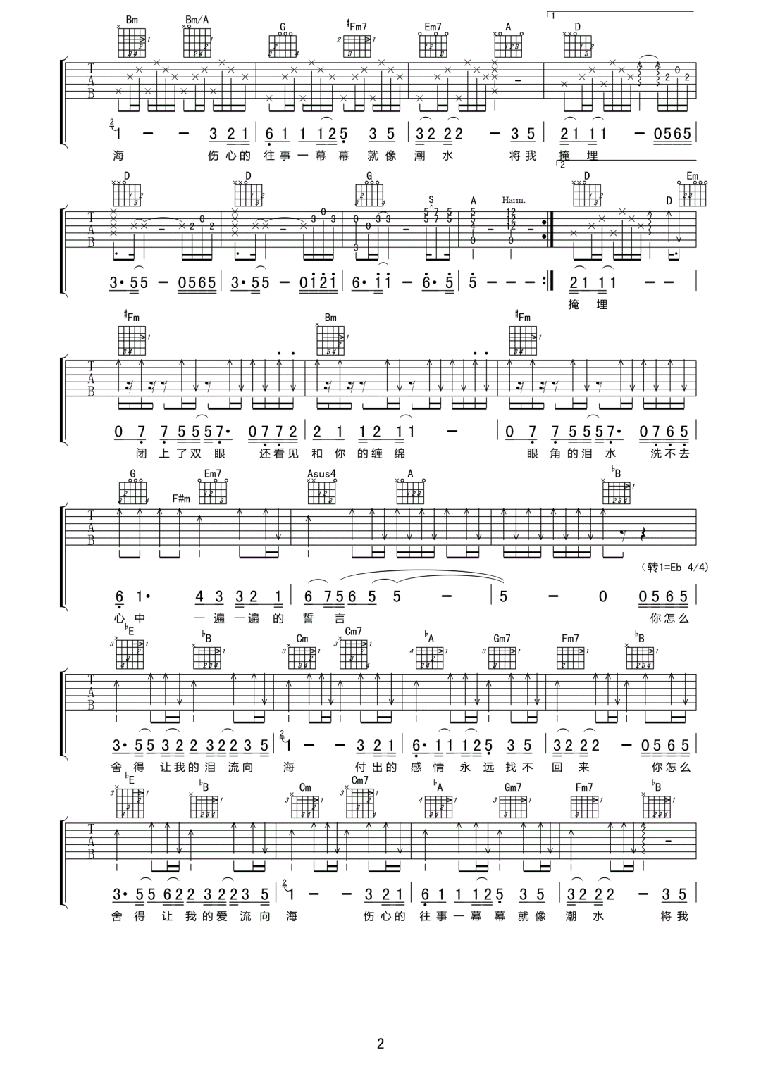泪海吉他谱预览图