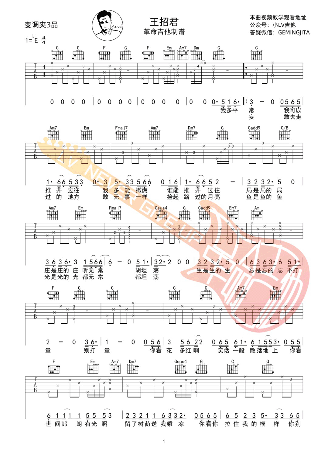 王招君吉他谱预览图