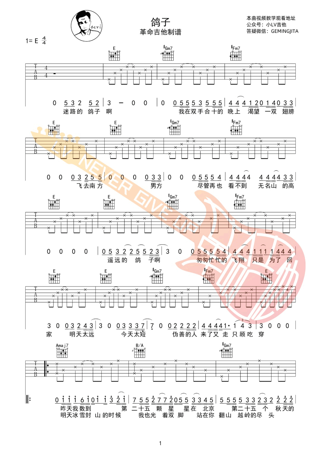 鸽子吉他谱预览图