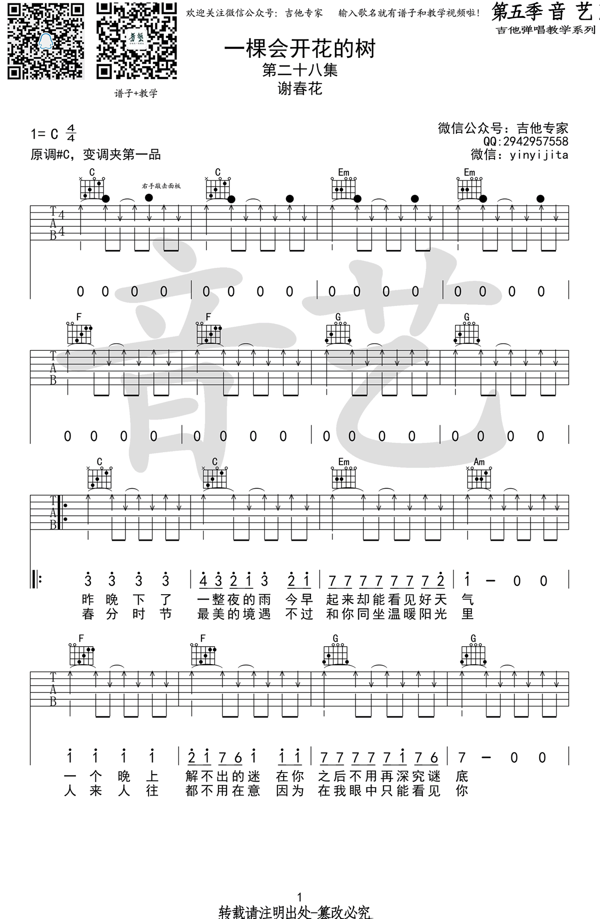 一棵会开花的树吉他谱预览图