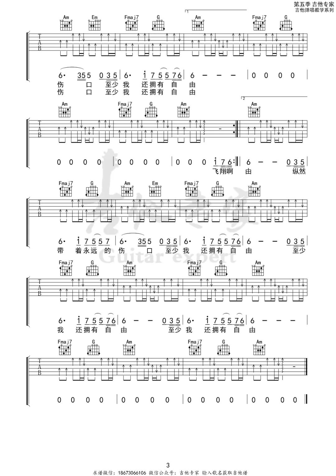 白鸽吉他谱预览图
