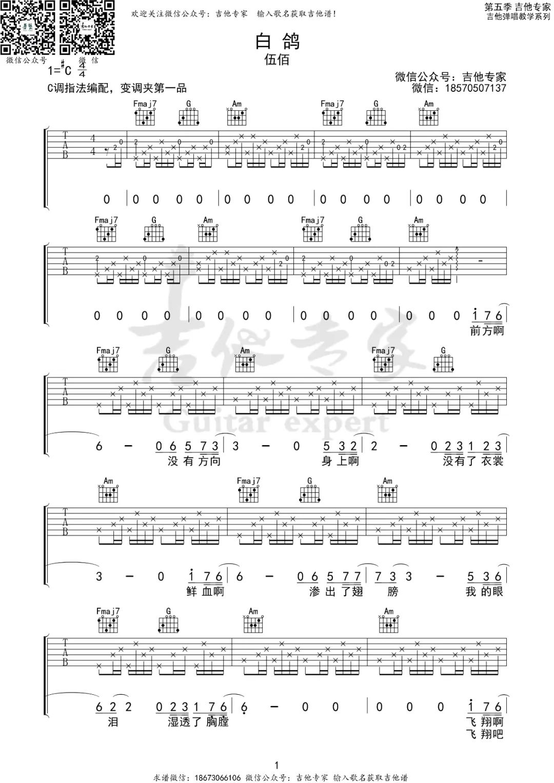 白鸽吉他谱预览图
