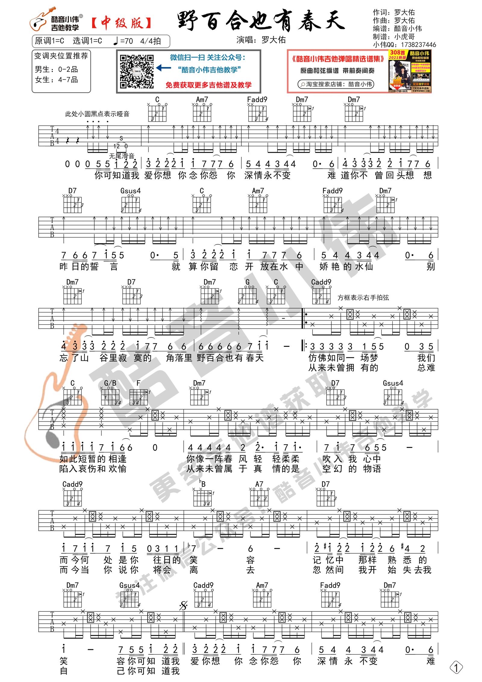 野百合也有春天吉他谱预览图