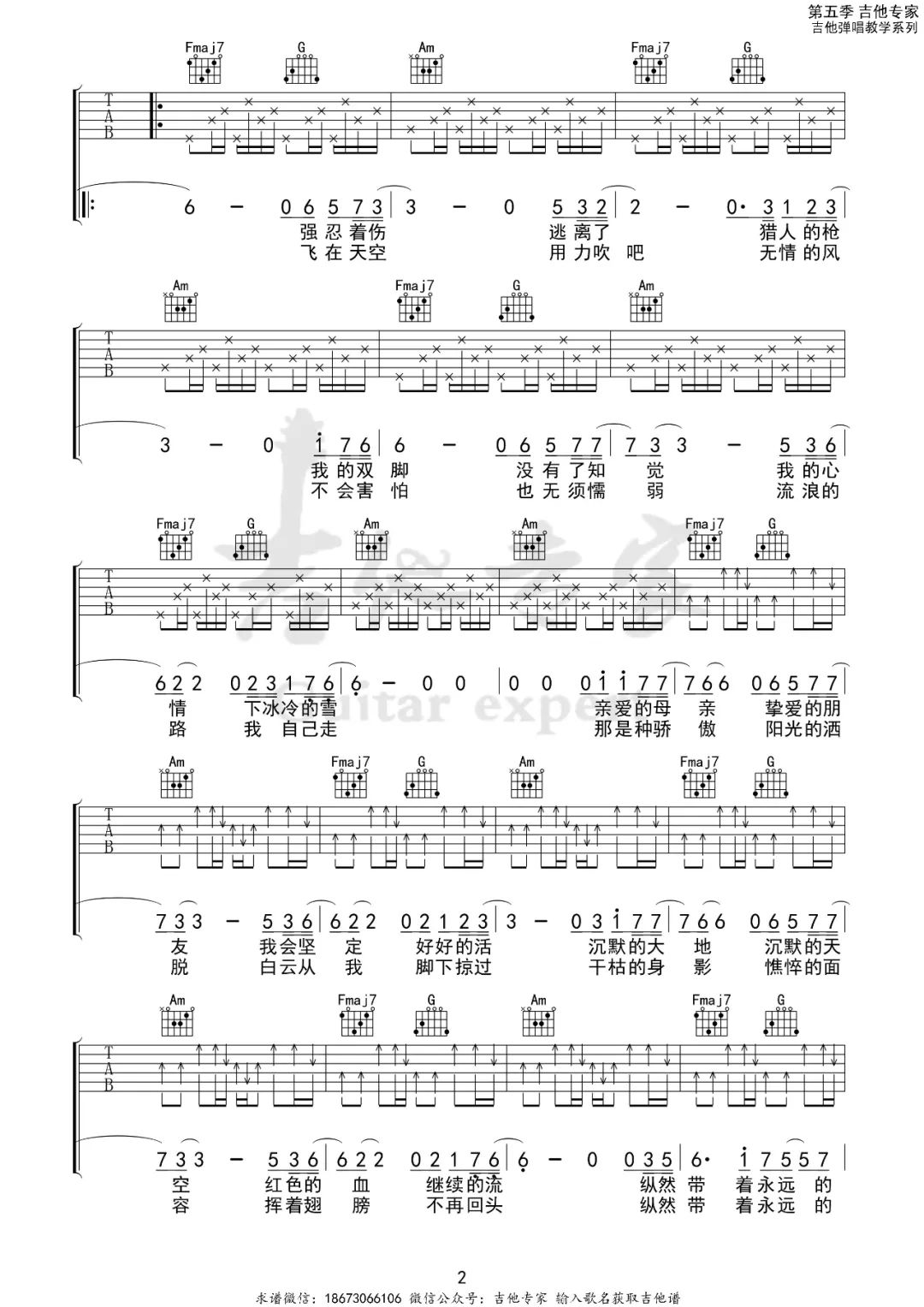 白鸽吉他谱预览图