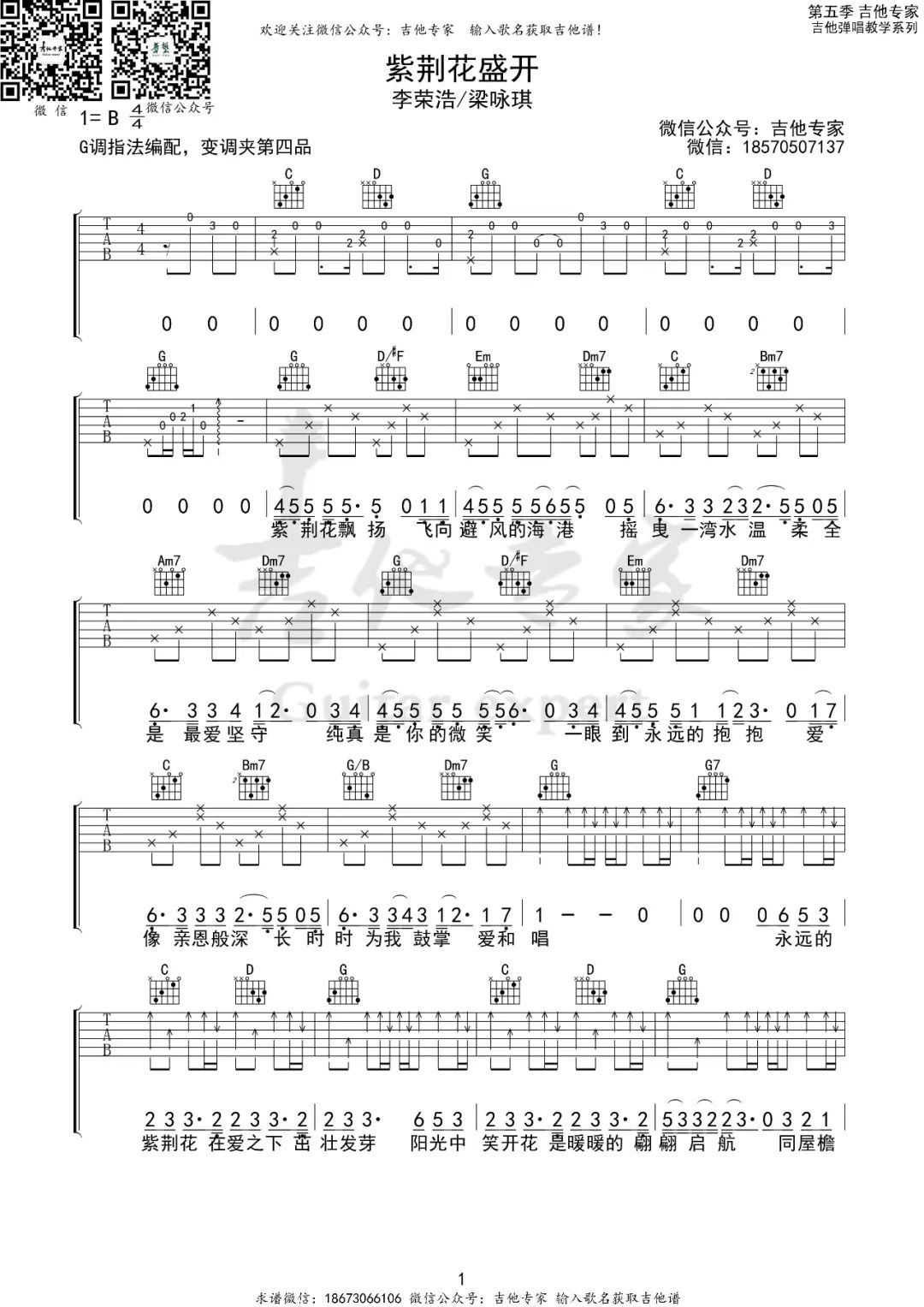 紫荆花盛开吉他谱预览图