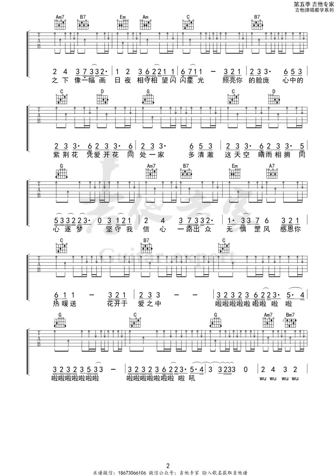 紫荆花盛开吉他谱预览图