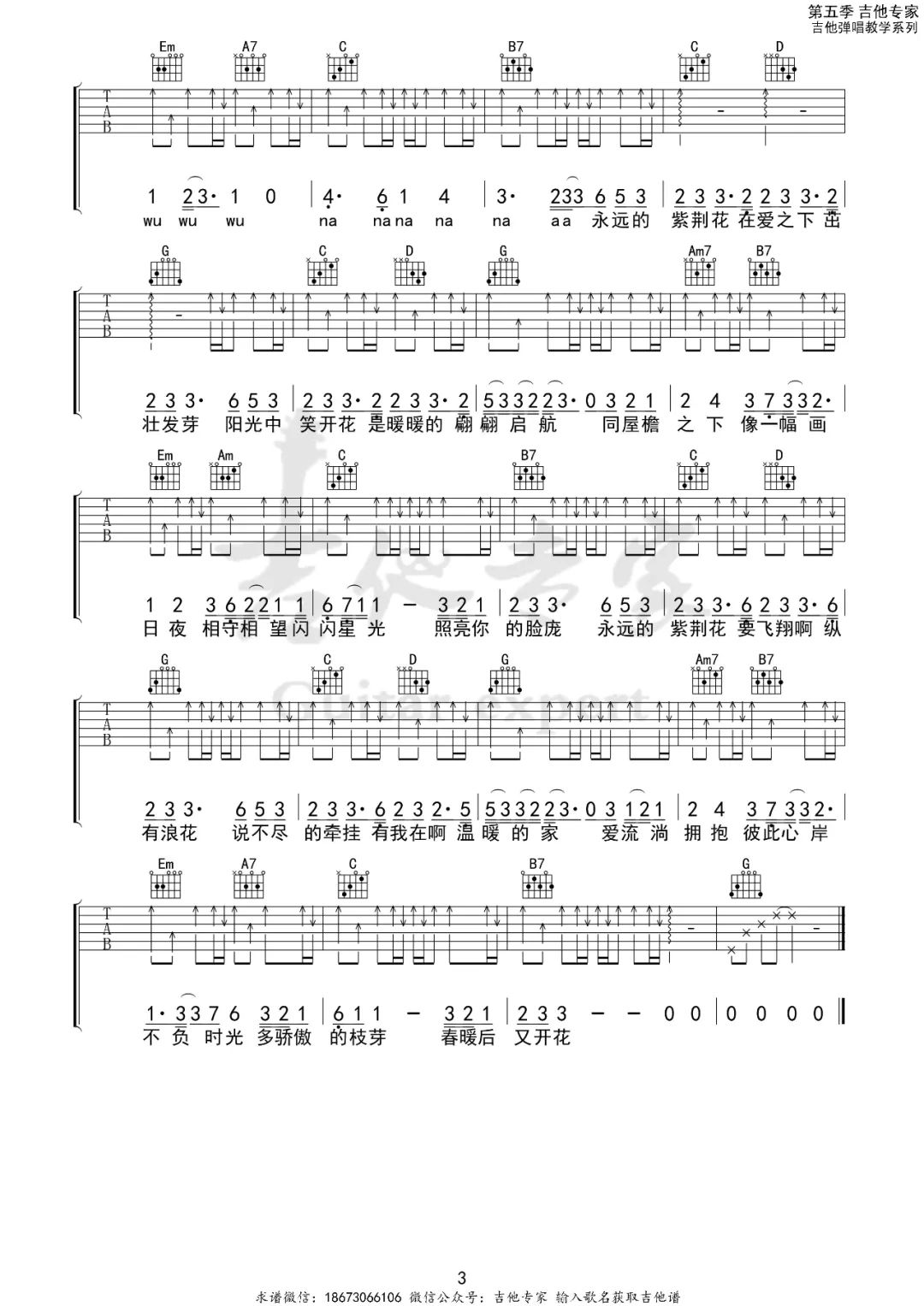 紫荆花盛开吉他谱预览图
