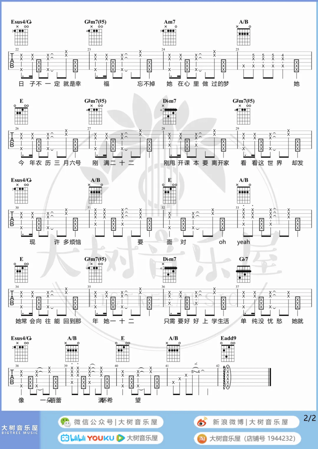 二十二吉他谱预览图