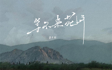 等不来花开吉他谱_Pro_C调原版弹唱六线谱_高清图片谱