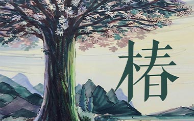 椿吉他谱_沈以诚_《椿》C调原版弹唱六线谱_高清图片谱