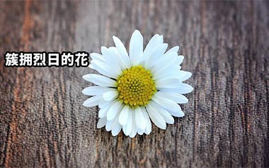 簇拥烈日的花吉他谱_迟里乌布_C调原版弹唱六线谱_高清图片谱