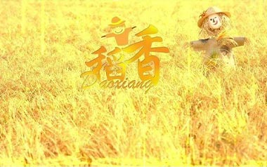 稻香吉他谱_周杰伦_稻香A调原版弹唱六线谱_高清图片谱