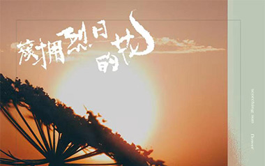 簇拥烈日的花吉他谱_迟里乌布/Morerare_C调_弹唱教学视频
