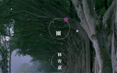 兜圈吉他谱_林宥嘉_C调简单版弹唱六线谱_高清图片谱
