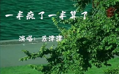 一半疯了一半算了吉他谱_苏谭谭_G调原版弹唱谱_高清六线谱