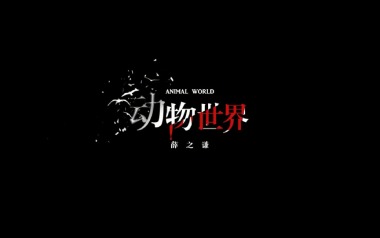 动物世界吉他谱_薛之谦_C调原版弹唱六线谱_高清图片谱