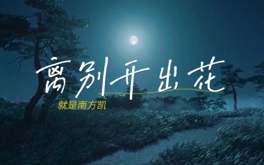 离别开出花吉他谱_就是南方凯_C调原版六线谱_弹唱教学视频