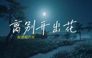 离别开出花吉他谱_就是南方凯_G调弹唱六线谱_高清图片谱