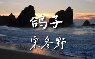 鸽子吉他谱_宋冬野_E调原版弹唱六线谱_高清图片谱