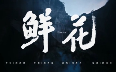 鲜花吉他谱_回春丹乐队_C调弹唱六线谱_高清图片谱