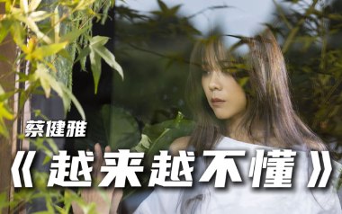 越来越不懂吉他谱_蔡健雅_C调弹唱六线谱_高清图片谱