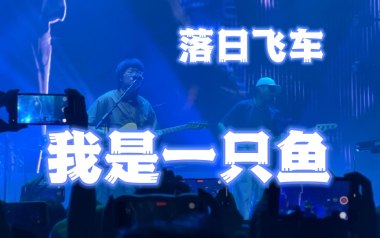 我是一只鱼吉他谱_落日飞车_D调原版六线谱_弹唱教学视频