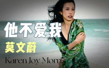 他不爱我吉他谱_莫文蔚_G调原版弹唱六线谱_高清图片谱