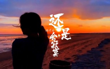 还是会寂寞吉他谱_陈绮贞_C调弹唱六线谱_高清图片谱