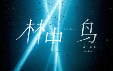 林中鸟吉他谱_葛林_C调扫弦版弹唱六线谱_高清图片谱