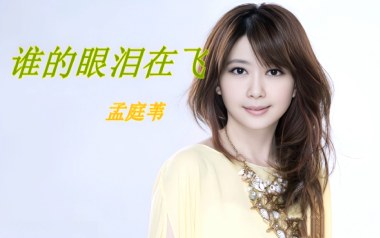 谁的眼泪在飞吉他谱_孟庭苇_C调原版弹唱谱_高清六线谱