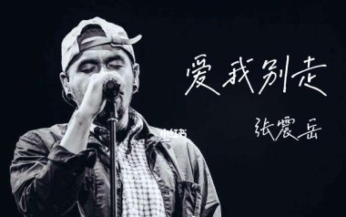 爱我别走吉他谱_张震岳_G调原版六线谱_弹唱教学视频
