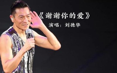 谢谢你的爱吉他谱_刘德华_G调弹唱六线谱_高清图片谱