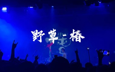 野草吉他谱_椿_C调原版弹唱六线谱_高清图片谱